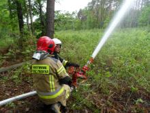 Leśne manewry straży pożarnych