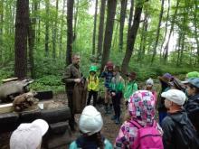 Edukacja leśna – wiosna – lato 2019