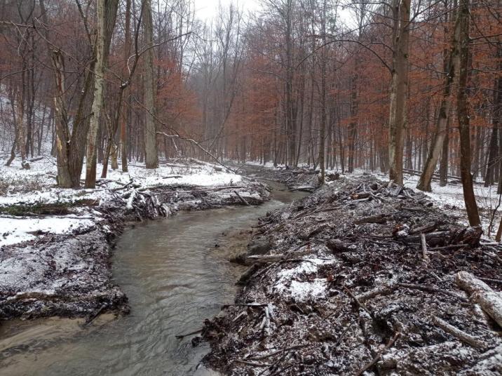 Zdjęcie rezerwatu Dolina Racławki